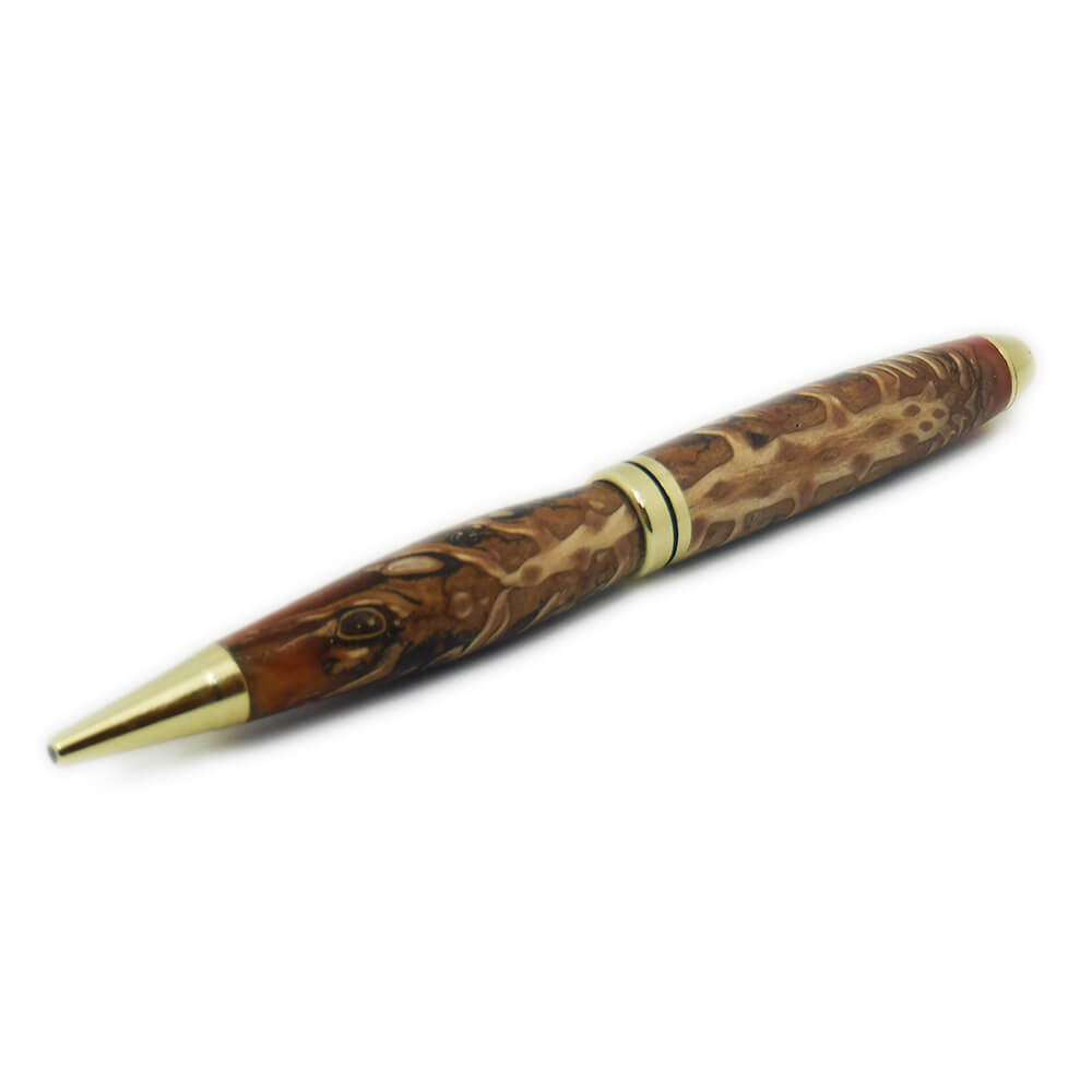 PENNA REALIZZATA CON LA PIGNA -STROBILO- IMMERSA N