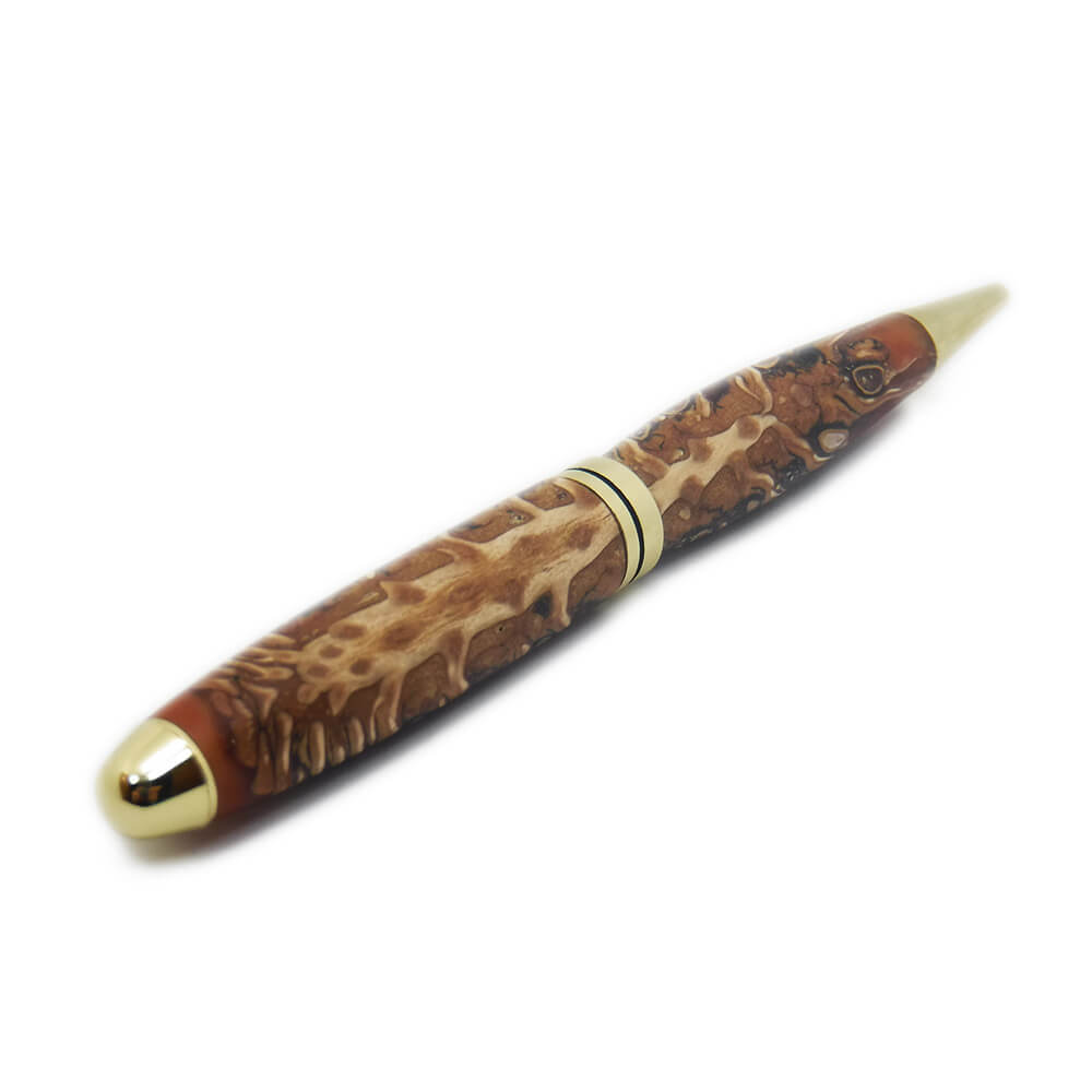 PENNA REALIZZATA CON LA PIGNA -STROBILO- IMMERSA N